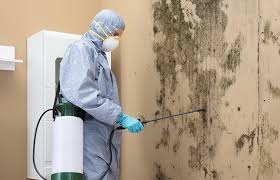 Best Crawl Space Mold Remediation  in Bartlett, IL